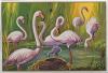 Colnect-5162-569-Greater-Flamingo-Phoenicopterus-roseus.jpg