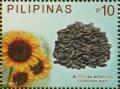 Colnect-2850-629-Butong-Mirasol-Sunflower-Seed.jpg