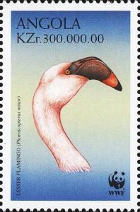 Colnect-4257-077-Lesser-Flamingo-Phoeniconaias-minor.jpg