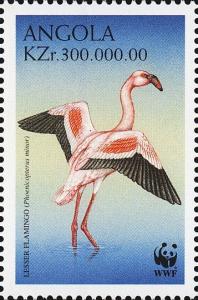 Colnect-4257-078-Lesser-Flamingo-Phoeniconaias-minor.jpg