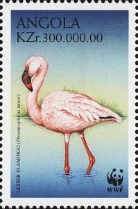 Colnect-4257-079-Lesser-Flamingo-Phoeniconaias-minor.jpg