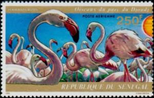 Colnect-2037-634-Greater-Flamingo-Phoenicopterus-roseus.jpg