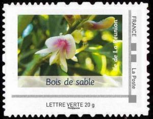 Colnect-6158-583-Endemic-plant-of-Reunion.jpg