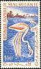 Colnect-2645-444-Greater-Flamingo-Phoenicopterus-roseus.jpg