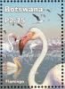 Colnect-5250-727-Lesser-Flamingo-Phoeniconaias-minor.jpg