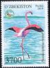 Colnect-6055-604-Greater-Flamingo-Phoenicopterus-roseus.jpg