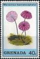 Colnect-2930-733-Marasmius-haematocephalus.jpg