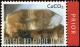 Colnect-5776-806-Minerals-Calcite.jpg