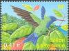 Colnect-517-949-Blue-headed-Hummingbird-Cyanophaia-bicolor.jpg