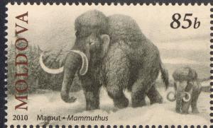 Colnect-2617-908-Mammoth-Mammuthus-sp.jpg