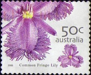 Colnect-438-713-Common-Fringe-Lily.jpg
