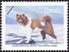 Colnect-2406-094-Canadian-Eskimo-Dog-Canis-lupus-familiaris.jpg