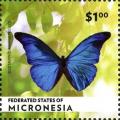 Colnect-3511-224-Morpho-peleides.jpg