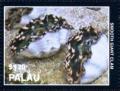 Colnect-4856-894-Smooth-giant-clam.jpg