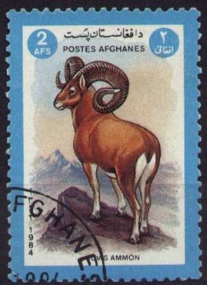 Colnect-583-505-Argali-or-Mountain-Sheep-Ovis-ammon.jpg