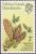 Colnect-1954-511-Magellanic-Clubmoss---Lycopodium-magellanicum.jpg