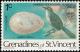 Colnect-1752-930-Tropical-Mockingbird-Mimus-gilvus.jpg