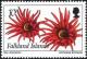 Colnect-3909-710-Sea-Anemone-Anthozoa-actinaria.jpg