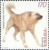 Colnect-721-333-Armenian-Gampr-Canis-lupus-familiaris.jpg
