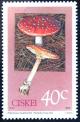 Colnect-3343-620-Poisonous-mushrooms-Amanita-muscaria.jpg