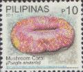Colnect-2914-117-Mushroom-Coral-Fungia-scutaria.jpg