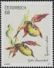 Colnect-3888-942-Cypripedium-calceolus-Lady-s-Slipper.jpg