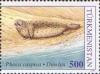 Stamps_of_Turkmenistan%2C_1993_-_Caspian_seal_%28Phoca_caspica%29_on_sand%2C_500.jpg