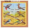 Colnect-1088-984-Flora-and-Fauna-of-Ghana---Birds---Mini-Sheet-with-MiNo-309.jpg