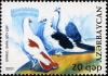 Colnect-1603-569-Fauna-Birds---General.jpg