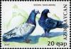 Colnect-1603-570-Fauna-Birds---General.jpg