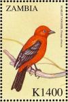 Colnect-3507-684-Scarlet-Tanager%C2%A0-%C2%A0Piranga-olivacea.jpg
