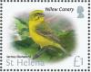 Colnect-4524-392-Yellow-Canary-Serinus-flaviventris.jpg