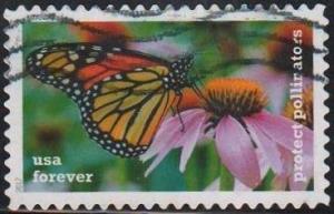 Colnect-4367-470-Protect-PollinatorsButterfly-on-Coneflower.jpg