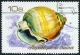 Colnect-4377-795-Sea-Snail-Demoulia-pinguis.jpg