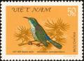 Colnect-1505-369-Purple-naped-Sunbird-Hypogramma-hypogrammicum.jpg