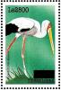 Colnect-3561-480-Yellow-billed-Stork-nbsp--nbsp--nbsp--nbsp-Mycteria-ibis.jpg