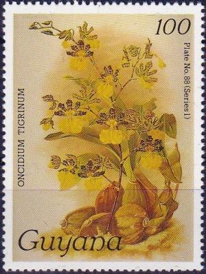 Colnect-3894-918-Oncidium-tigrinum.jpg