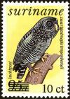 Colnect-4978-471-Black-banded-Owl-Ciccaba-huhula.jpg