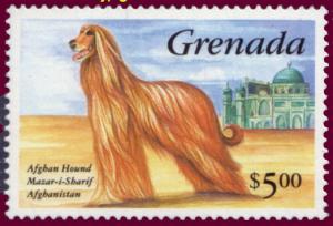 Colnect-1252-683-Afghan-Hound-Canis-lupus-familiaris.jpg