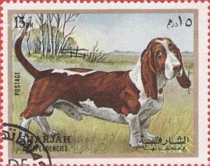 Colnect-1406-433-Basset-Hound-Canis-lupus-familiaris.jpg