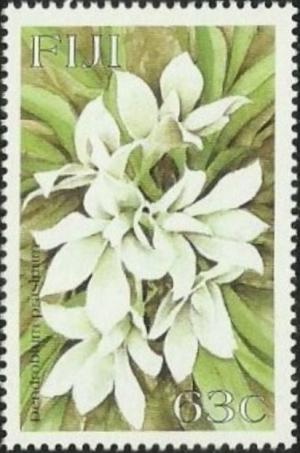 Colnect-3147-317-Dendrobium-prasinum.jpg