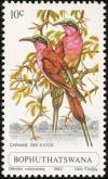 Colnect-1456-683-Southern-Carmine-Bee-eater-Merops-nubicoides.jpg