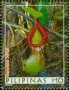 Colnect-2850-366-Nepenthes-burkei.jpg