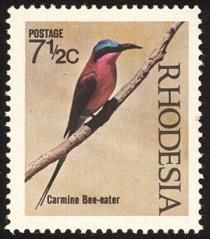 Colnect-2130-941-Southern-Carmine-Bee-eater-Merops-nubicoides.jpg