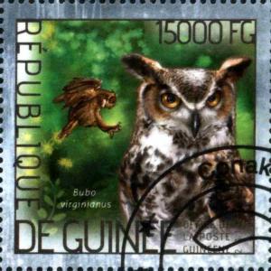Colnect-3638-267-Great-Horned-Owl-Bubo-virginianus.jpg