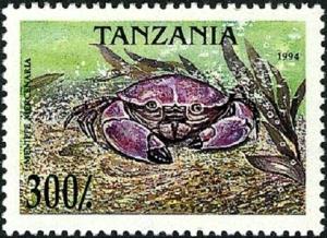 Colnect-5545-157-Florida-Stone-Crab-Menippe-mercenaria.jpg