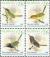 Colnect-2855-092-Philippine-Birds---MiNo-4204-07I.jpg