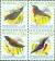 Colnect-2855-100-Philippine-Birds---MiNo-4200-03I.jpg