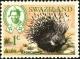 Colnect-3713-215-Cape-Porcupine-Hystrix-africaeaustralis.jpg