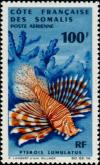 Colnect-806-428-Luna-Lionfish-Pterois-lunulatus.jpg